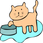 Cat & Bowl 14