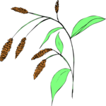 Plant 237 Clip Art