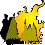 Forest Fire