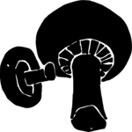 Mushrooms 05
