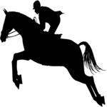 Equestrian 4