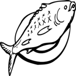 Fish 11