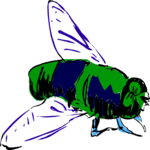 Fly 1 Clip Art