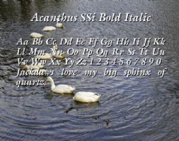 Acanthus SSi Bold Italic font
