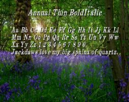 Annual Thin BoldItalic font