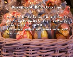 DonatoraSC Bold OpenType font