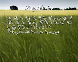 Easy November font