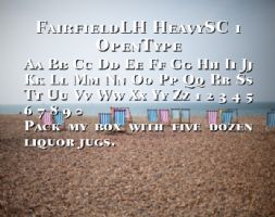 FairfieldLH HeavySC 1 OpenType font