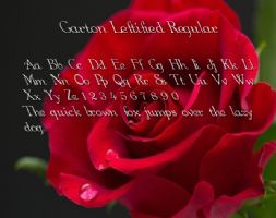 Garton Leftified Regular font