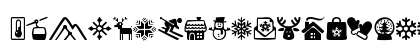 Winter Icons Regular