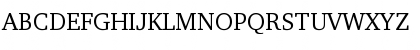 Charter BT Pro Roman Font