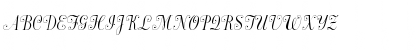 Dorchester Script MT Std Regular Font