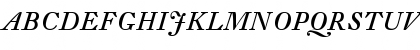 DTLFleischmannT Italic Font