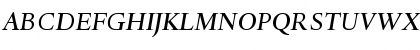 DTLHaarlemmerD MediumItalic Font