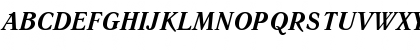 LiteraturnayaC Bold Italic Font