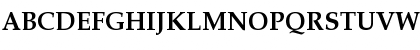 URW Palladio L Regular Font