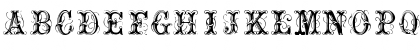 OrnamentalNo2 Regular Font OrnamentalNo2 Regular Font