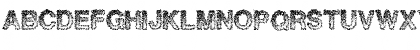 QuantumAnts Regular Font