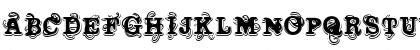 Vtks Wine Label Regular Font