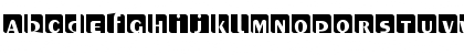 URWPelionIniDBol Regular Font