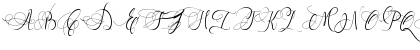Andora Regular Font Andora Regular Font