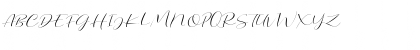 Dorothy Clark Script DEMO Regular Font