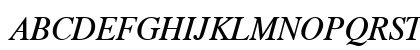CG Times Italic CG Times Italic