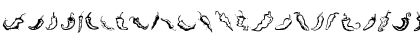 ChiliPepper Dingbats Regular Font ChiliPepper Dingbats Regular Font