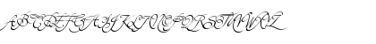 ChristophsQuillSwashITC Regular Font ChristophsQuillSwashITC Regular Font