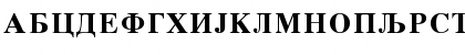 CTimes Bold Regular Font CTimes Bold Regular Font