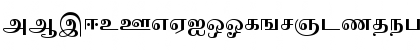 IdsTamil_TG_2_ Bold Font