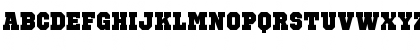 Octin Sports Black Font