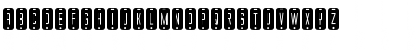 iDroid S Ergodynamic Regular Font
