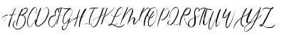 magdalena script Regular Font