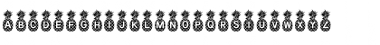 Pineapple_Mono Regular Font Pineapple_Mono Regular Font