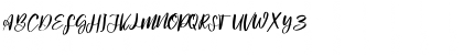 Signature hawk Regular Font