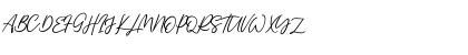 Single Signature Regular Font Single Signature Regular Font