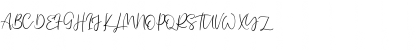 Single Signature Thin Ordinary Regular Font