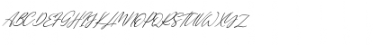 Single Signature Thin Tilted Regular Font Single Signature Thin Tilted Regular Font