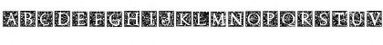 Nabel Initials Regular Font