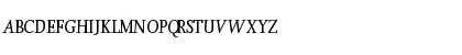 ConfirmaSSK Italic Font