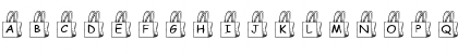 pf_bag1 Regular Font