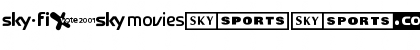 Sky 1998 Channel Logos Regular Font