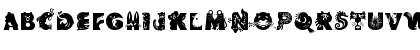 Critter Regular Font Critter Regular Font