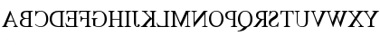 TimesMirror Regular Font TimesMirror Regular Font