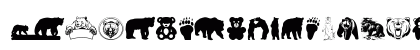 Bear Icons Regular