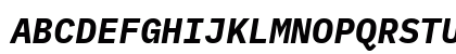 BlexMono NF Bold Italic BlexMono NF Bold Italic