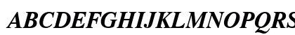 CG Times Bold Italic CG Times Bold Italic