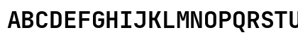 JetBrains Mono Bold JetBrains Mono Bold