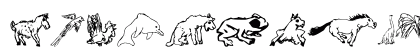 MattsAnimalsOne Regular